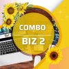 Combo Biz 2 (website + hosting + tên miền .com.vn)