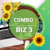 Combo Biz 3 (website + hosting + tên miền .com.vn + 5 email)