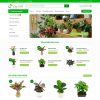 Web Biz-208