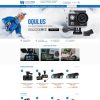 Web Biz-209